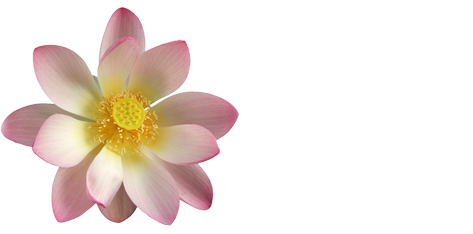 Thai Lotus Restaurant Napier Thai Lotus Restaurant Napier